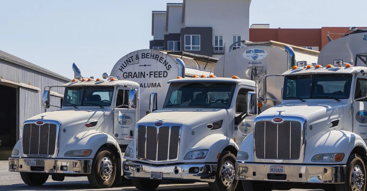 Trois camions-citernes blancs à l'installation de grain et d'aliment Hunt & Behrens sous la lumière du jour.